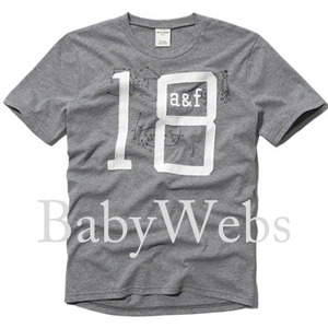 Abercrombie Kids Logo Graphic Tee/Grey (Boys)