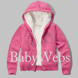 Abercrombie Kids Sherpa Lined Shine Logo Hoodie/Pink With Shine (Girls)